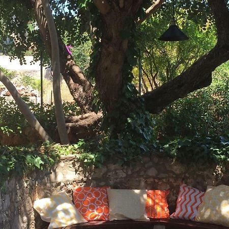 Relax Garden Apartment Stari Grad  Luaran gambar