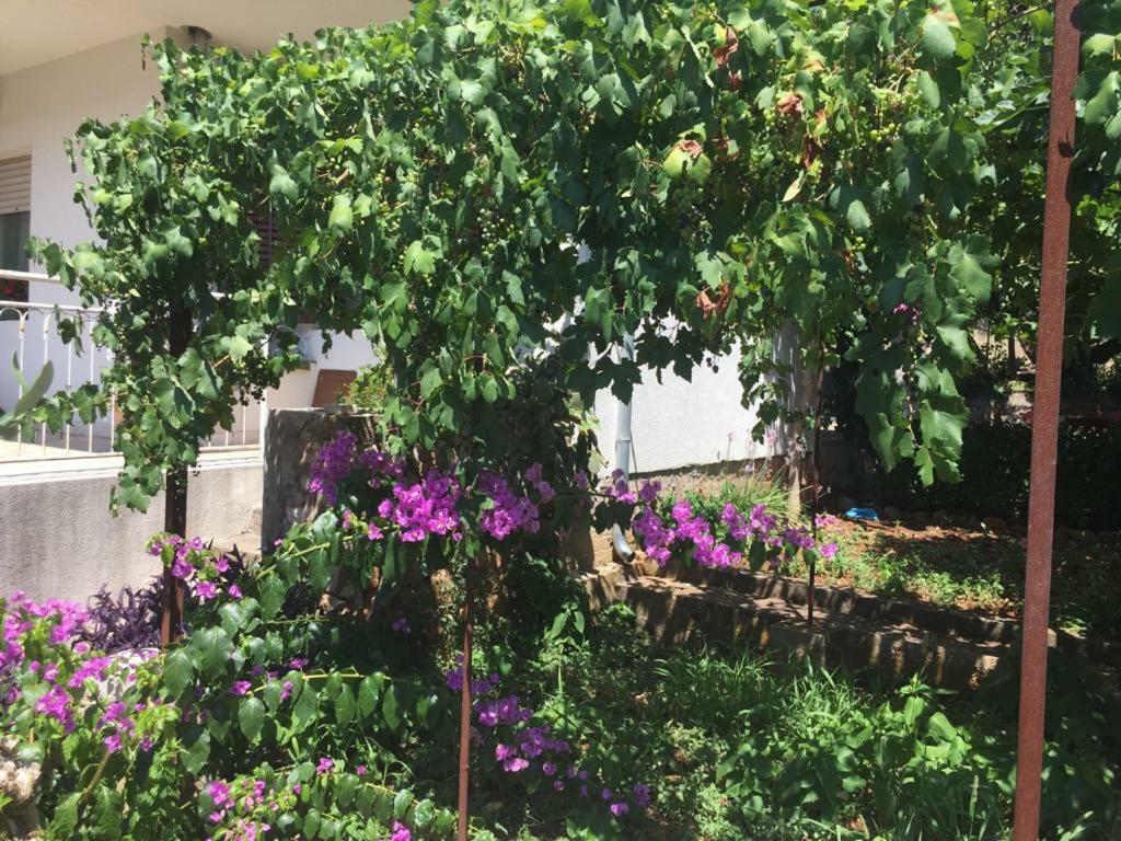 Relax Garden Apartment Stari Grad  Luaran gambar